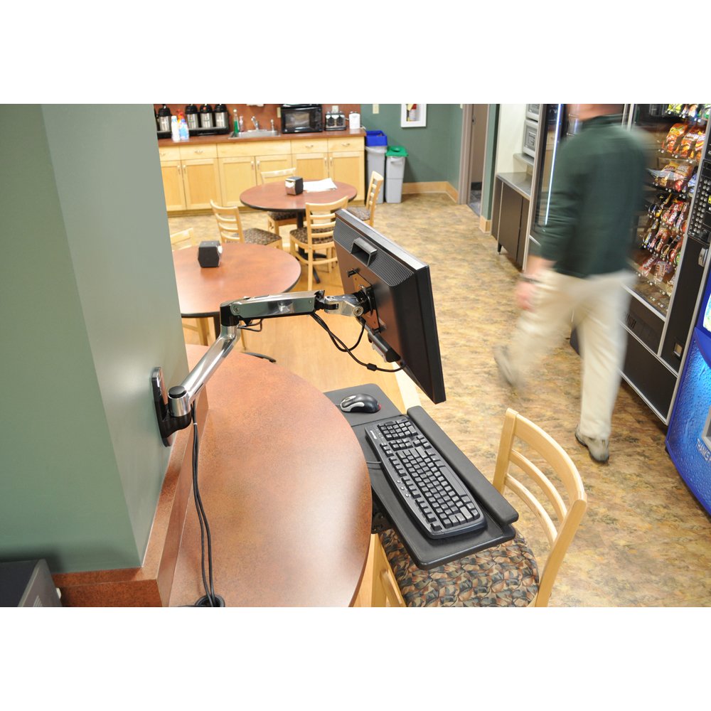 Ergotron LX Wall Mount Monitor Arm 34" (Polished Aluminum) 45-243-026