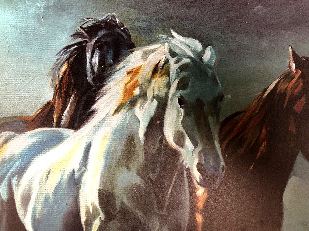 Spirited Horses running freely on Battlefield Wall Art Poster Print