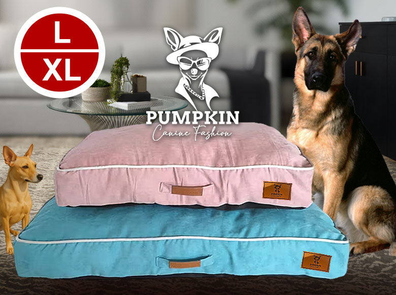 Large Breed Dog Bed - Cushioned Pet Couch - Removable Cover - L / XL - NIB